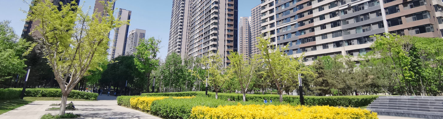 New World Garden